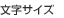 文字サイズ