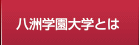 八洲学園大学とは