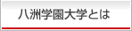 八洲学園大学とは