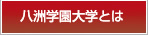 八洲学園大学とは