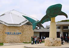 ジンベイザメで有名な美ら海水族館