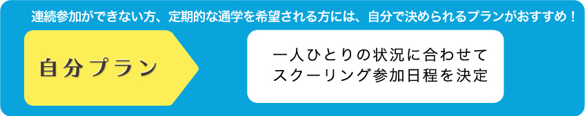 連続参加ができない方、定期的な通学を希望される方には、自分で決められるプランがおすすめ！　自分プラン　一人ひとりの状況にあわせてスクーリング作家日程を決定