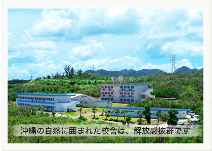 沖縄の自然に囲まれた校舎は、解放感抜群です