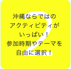 沖縄ならではのアクティビティがいっぱい！参加時期やテーマを自由に選択！