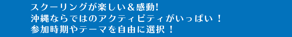 スクーリングが楽しい＆感動!沖縄ならではのアクティビティがいっぱい !参加時期やテーマを自由に選択 !