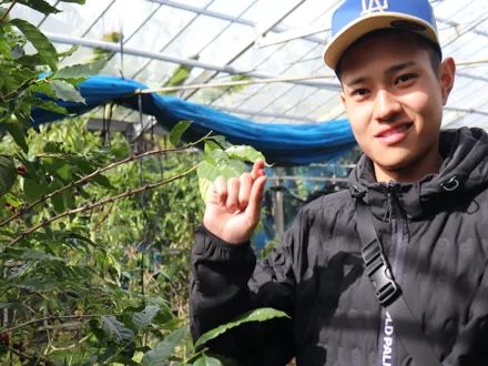 フォトギャラリー1