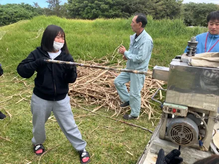 フォトギャラリー6