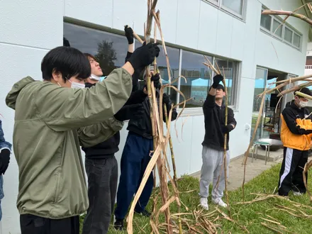 フォトギャラリー10