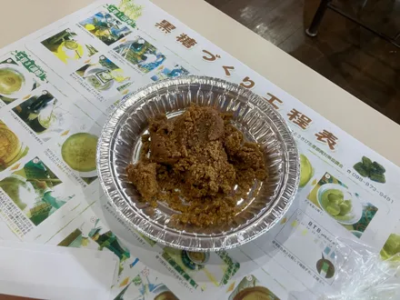 フォトギャラリー11