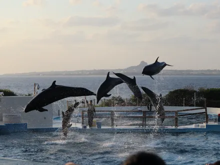 フォトギャラリー18