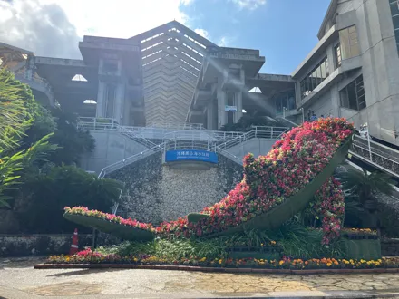 フォトギャラリー9