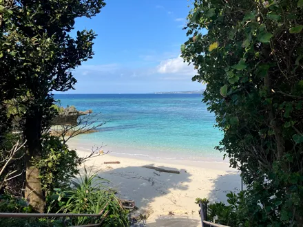 フォトギャラリー10