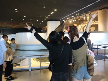 フォトギャラリー15