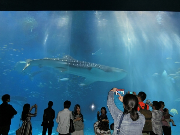 【大分県】夢実現に向けて前進している生徒さんを紹介( ﾟ▽ﾟ)/