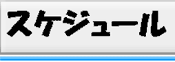スケジュール