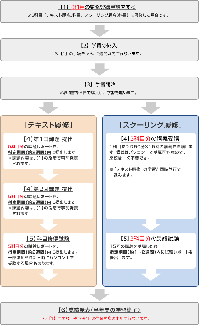 資格取得までの流れ(1年で資格取得を目指す)