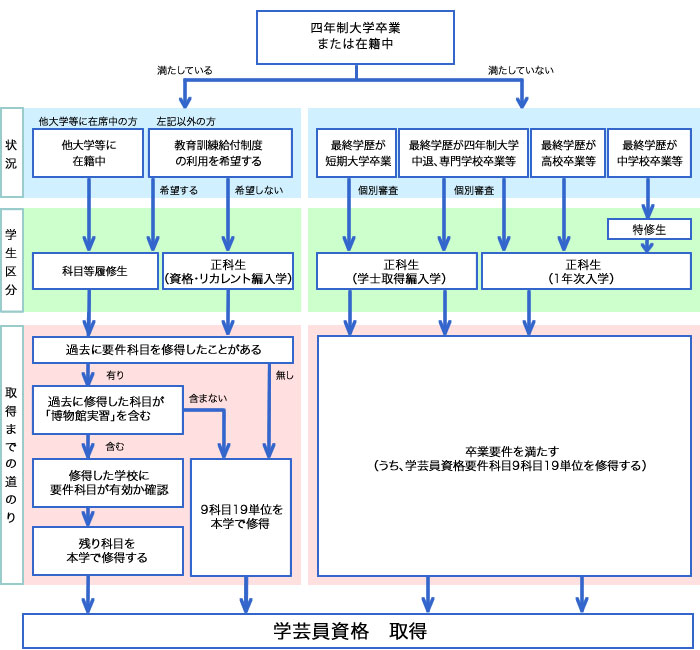 博物館学芸員資格 取得ルート