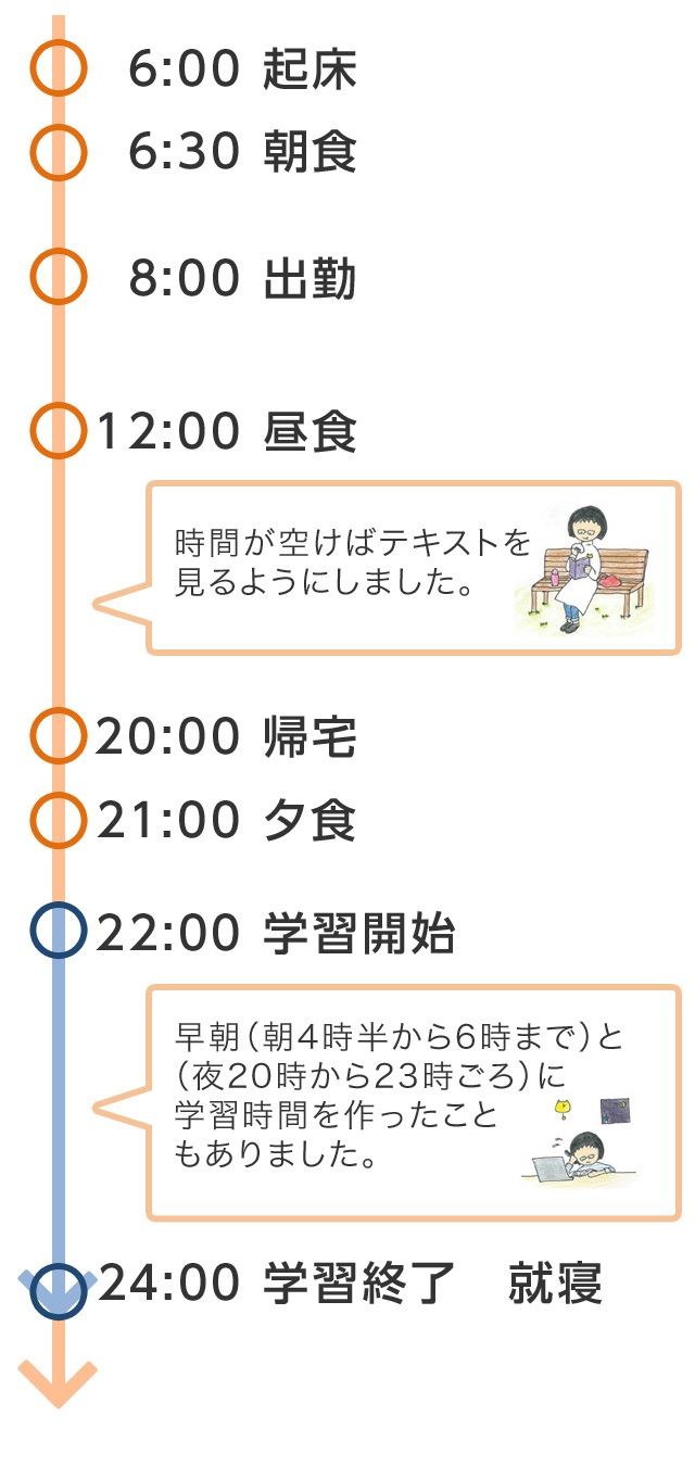 学芸員資格取得者のスケジュール例 取得できる国家資格等 通信大学 通信制大学 通信教育の八洲学園大学